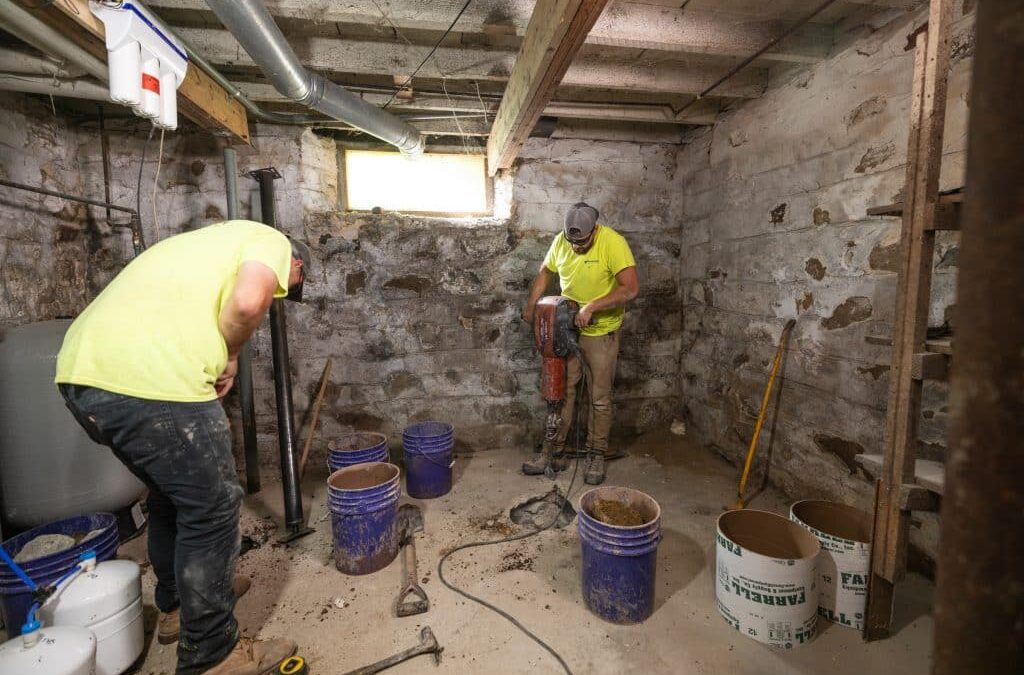 When To Call a Professional for Troubleshooting Moldy Basement Issues