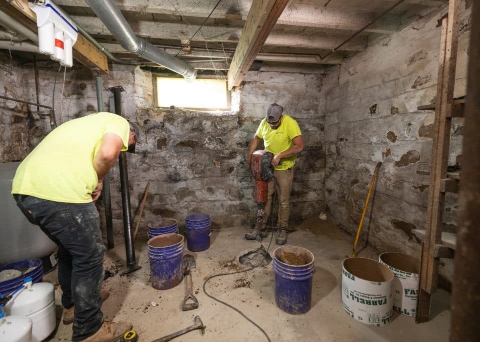 When To Call a Professional for Troubleshooting Moldy Basement Issues